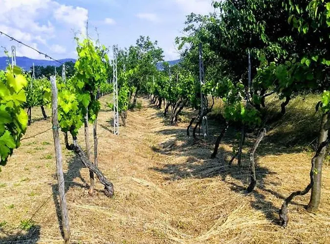 Villino I Due Mori * קורטונה