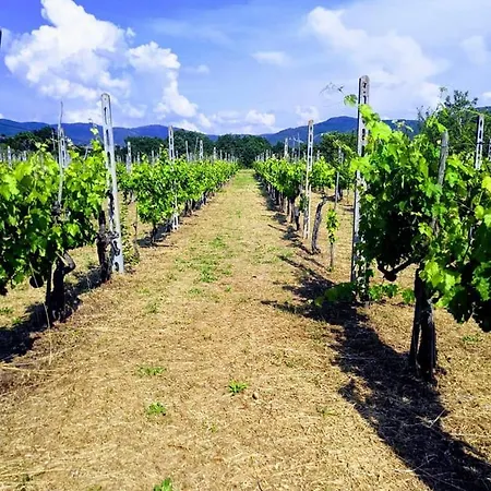 Casa de Férias Villino I Due Mori *