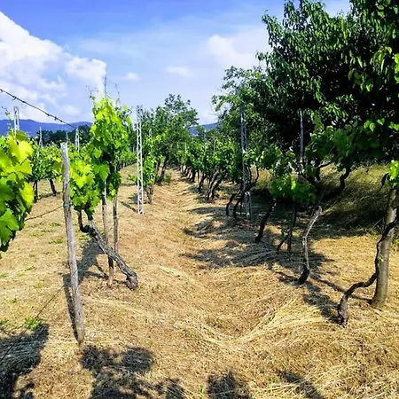 Villino I Due Mori * Cortona