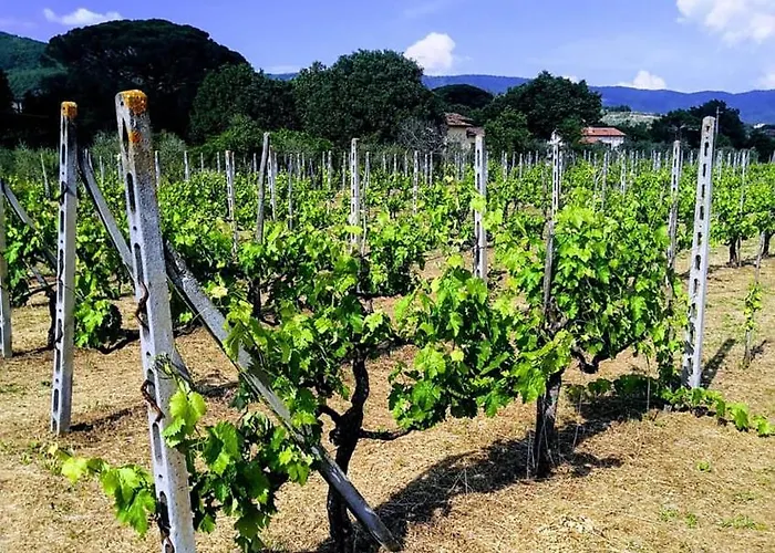 Villino I Due Mori Дом отдыха