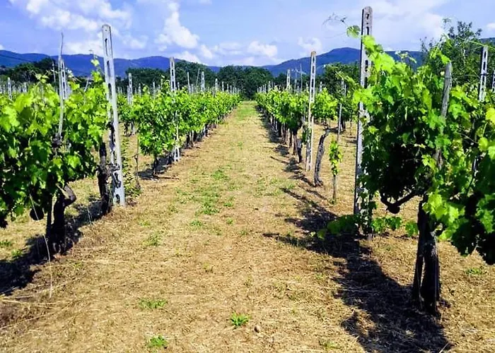 Дом отдыха Villino I Due Mori *