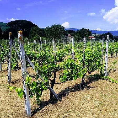 Villino I Due Mori Будинок відпочинку